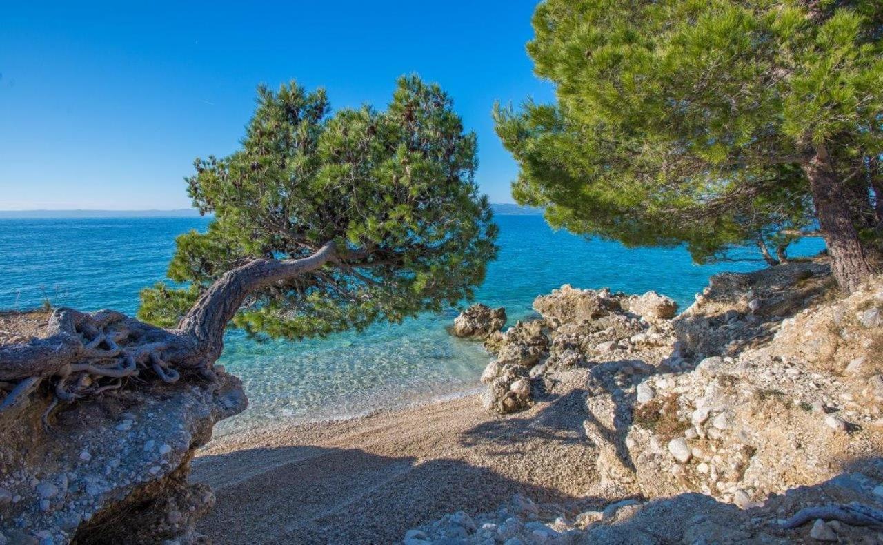 King * Makarska